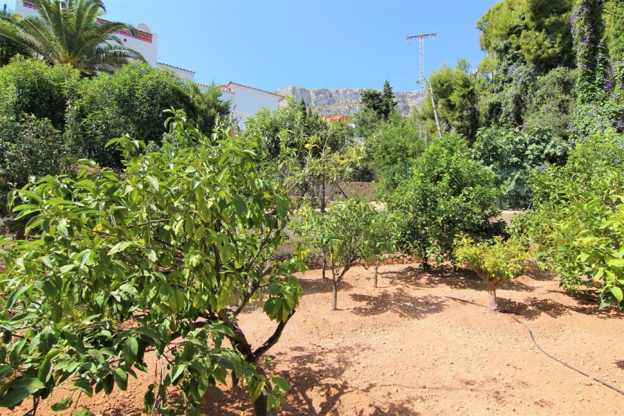 Villavenus Calpe Zewnętrze zdjęcie