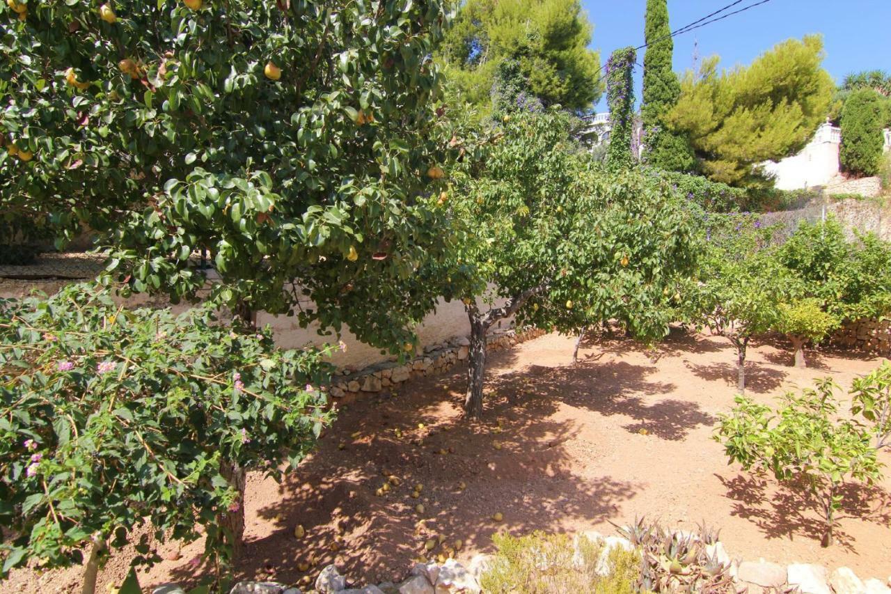 Villavenus Calpe Zewnętrze zdjęcie